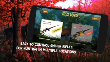 Deer Hunting in Hunter Valley