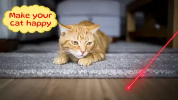 Laser for cat. Cat games. Joke