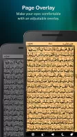 Holy Quran (16 Lines per page)