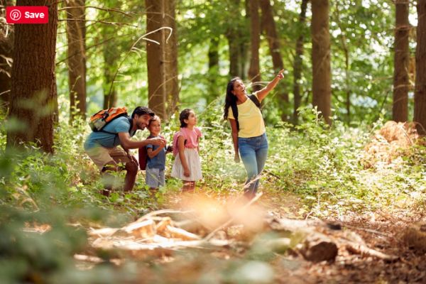 Little Panda’s Camping Trip