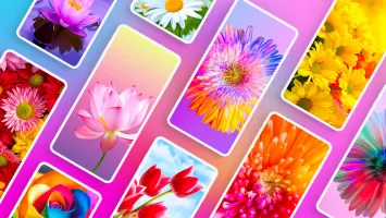Flower Wallpapers 4K