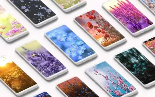 Spring Wallpaper