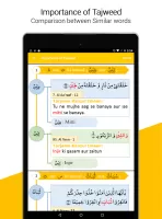 Quran + Tajweed + Audio 2025