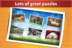 Dogs Jigsaw Puzzle Game Kids