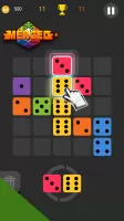 Dominoes Puzzle