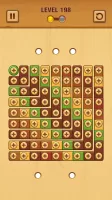 Wood Nuts: Nuts & Bolts
