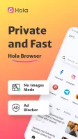 Hola Browser