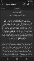 Sahih Bukhari Shareef