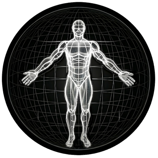 BodBot AI Personal Trainer