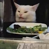 Cat Astrophic