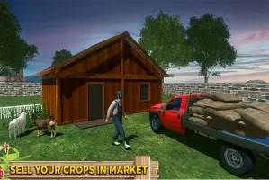 Virtual Farmer Life Simulator