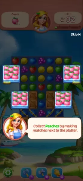 Fruit Diary - Match 3 Games