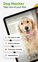 Barkio: Dog Monitor & Pet Cam