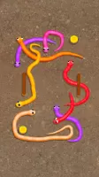 Snake Knot: Sort Puzzle Game