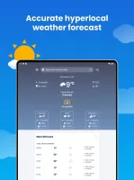 Weather&Rain