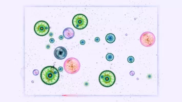 Osmos