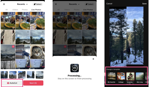 How to Add Pictures to TikTok Video？