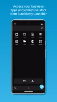 BlackBerry Work