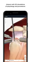 BioDigital Human