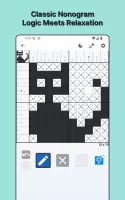 Nonogram Square