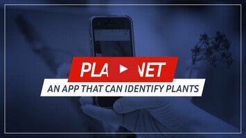 Plantnet, an application that can identify plants 🌱😲 ?