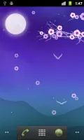 Blooming Night Live Wallpaper