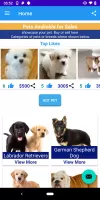 pet & dog - Buy and sell