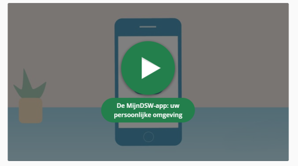 MijnDSW