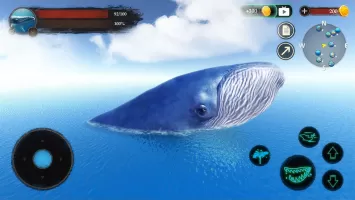 The Blue Whale