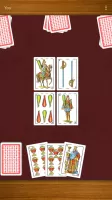 Scopa!