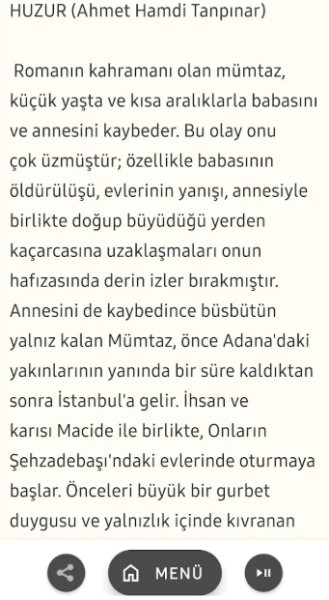Roman Özetleri