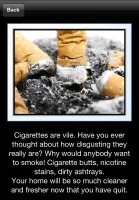 Stop Smoking, Stay Quit