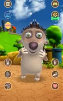 Talking Hedgehog