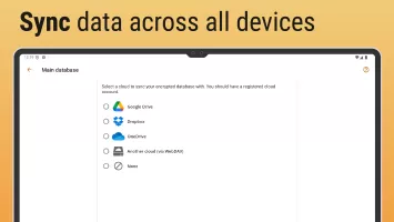 Password Manager SafeInCloud 2