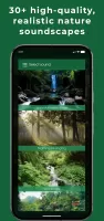 Relax Forest