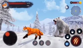 The Fox