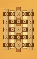 Screw Puzzle
