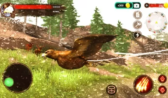 The Eagle