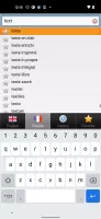 French dictionary