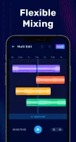 Audio Editor & Music Editor