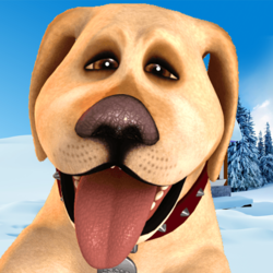 Talking John Dog: Funny Dog