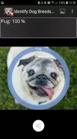Identify Dog Breeds