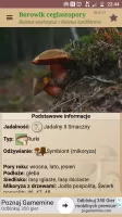 Atlas grzybów