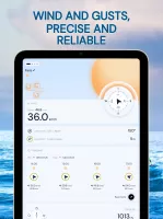 Wind Compass