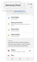 Samsung Cloud for Wear OS