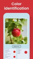 Color Identification