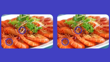 Spot The Differences Game