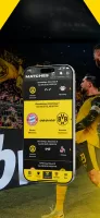 BVB