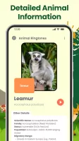 Animal Sounds: Animal Ringtone