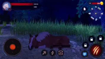 The Horse
